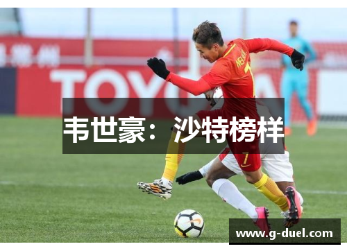 韦世豪：沙特榜样